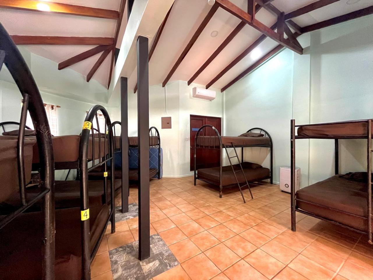 Tamarindo Backpackersホステル エクステリア 写真